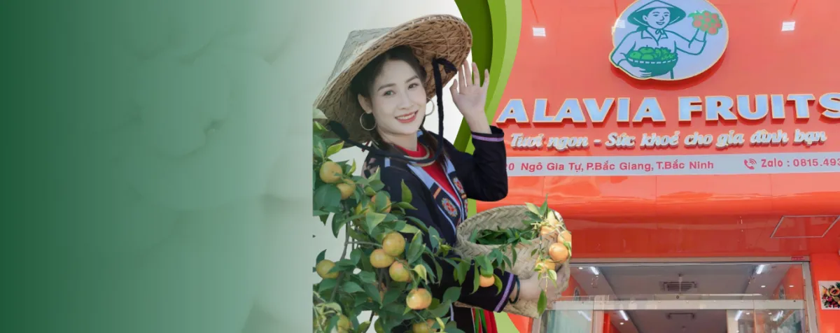 Ship theo thời gian và địa điểm